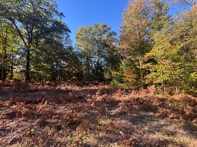 $879,000 | 2697 North 176th Avenue, Walkerville, MI 49459