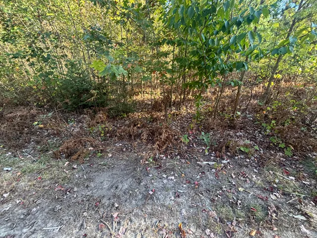 $879,000 | 2697 North 176th Avenue, Walkerville, MI 49459