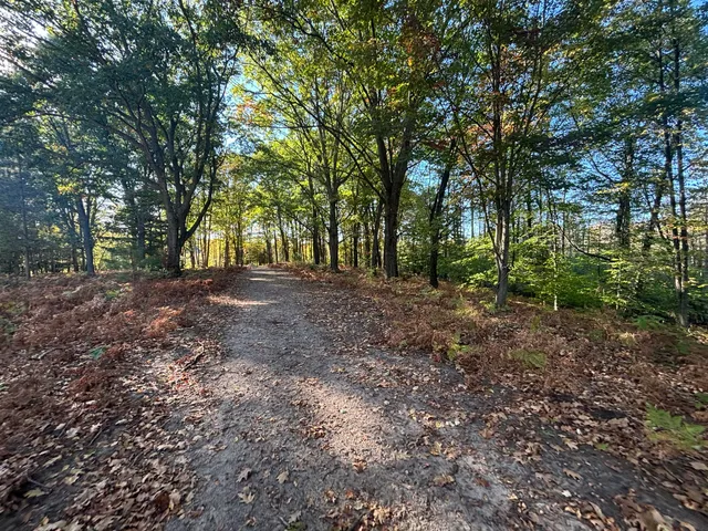 $879,000 | 2697 North 176th Avenue, Walkerville, MI 49459