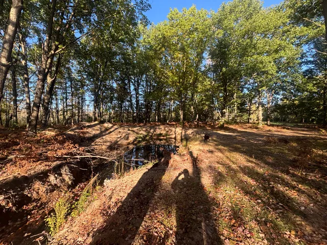 $879,000 | 2697 North 176th Avenue, Walkerville, MI 49459