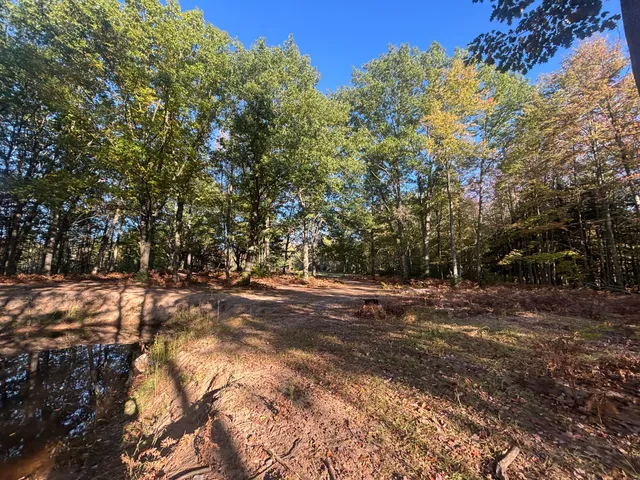 $879,000 | 2697 North 176th Avenue, Walkerville, MI 49459