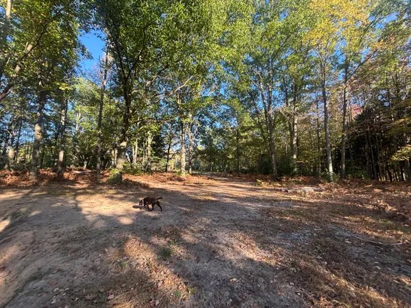 $849,900 | 2697 North 176th Avenue, Walkerville, MI 49459