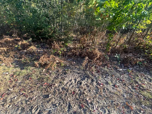 $879,000 | 2697 North 176th Avenue, Walkerville, MI 49459