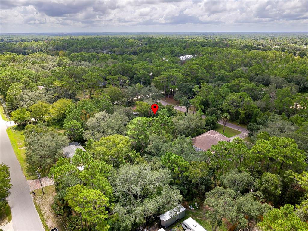 9041 Helene Way Weeki Wachee, FL 34613 - Photo 9 of 15 Gallery Image 9