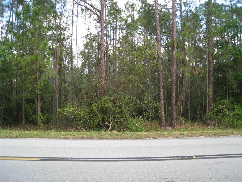 Deen Still Road Davenport, FL 33897 - Photo 1 of 1 Gallery Image 1