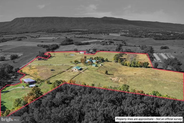$1,500,000 | 239 Mt Carmel Road, Luray, VA 22835