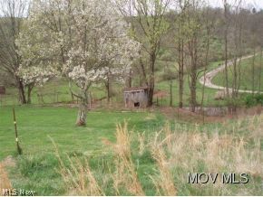 191 Rt 5 Cairo, WV 26337 - Photo 4 of 10