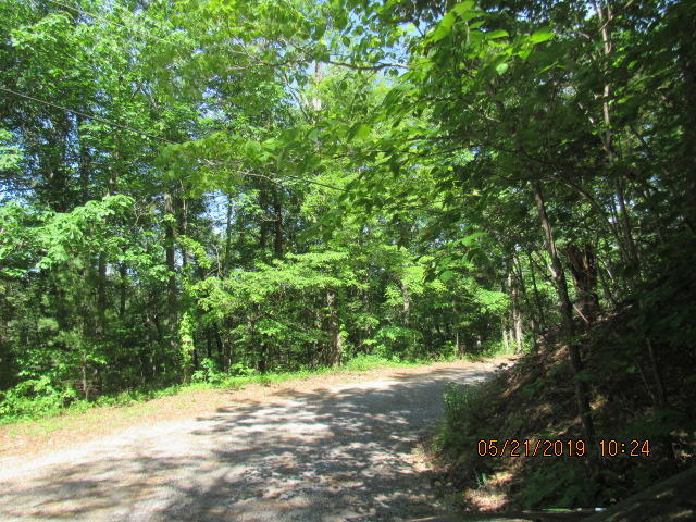 2163 Waters End Road Walland, TN 37886 - Photo 15 of 18 privacy