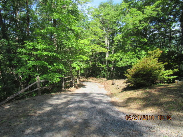 2163 Waters End Road Walland, TN 37886 - Photo 3 of 18 driveway
