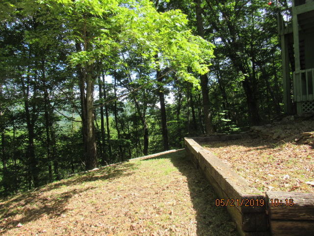 2163 Waters End Road Walland, TN 37886 - Photo 4 of 18 side yard