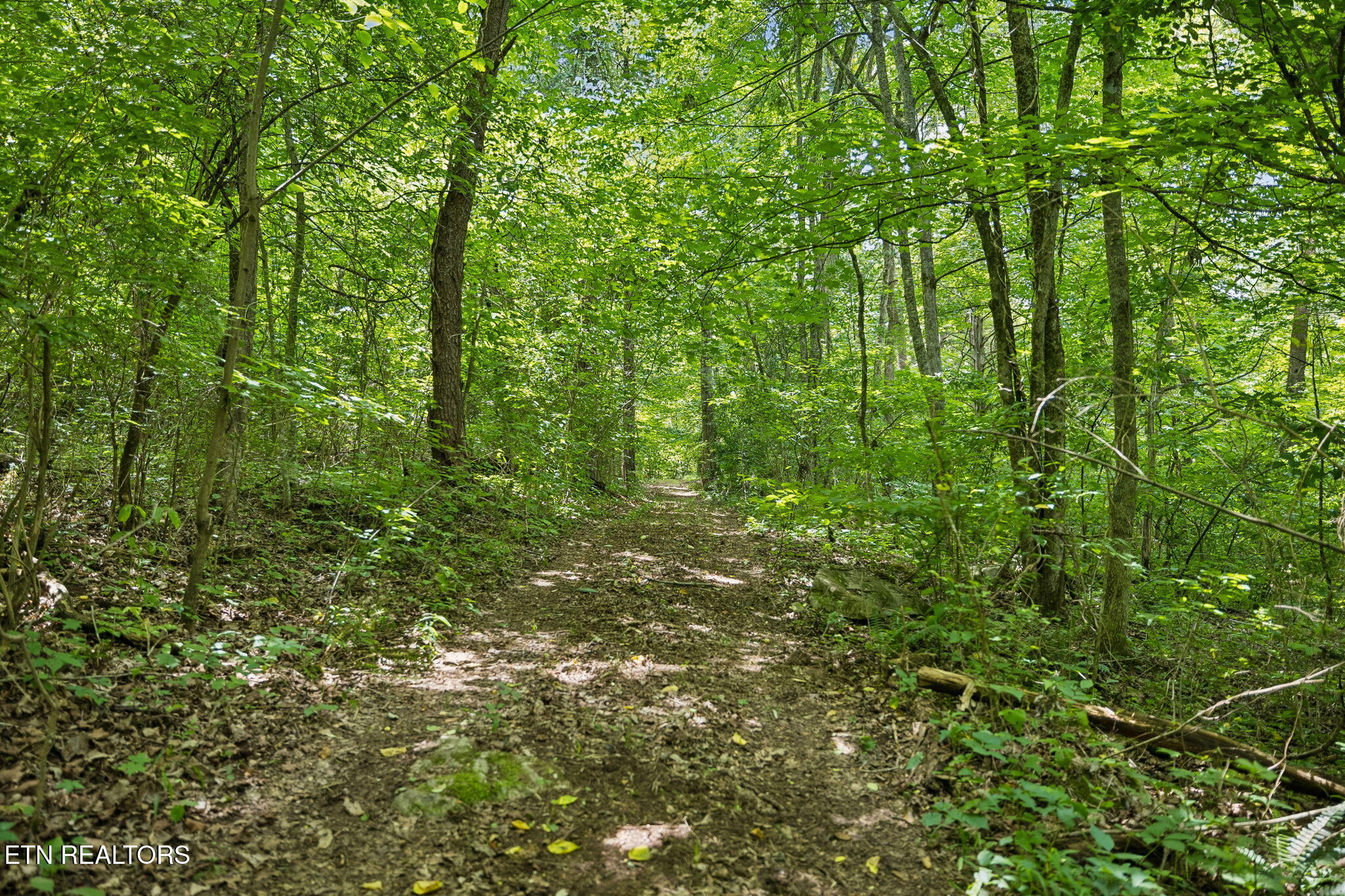 Knob Road Rutledge, TN 37861 - Photo 24 of 46 18-344 Knob Rd - 018