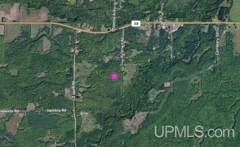 Tbd Off Kyllonen Road, Unit LAT 46 75685 LON 88 7526 Nisula, MI 49952 - Photo 23 of 24
