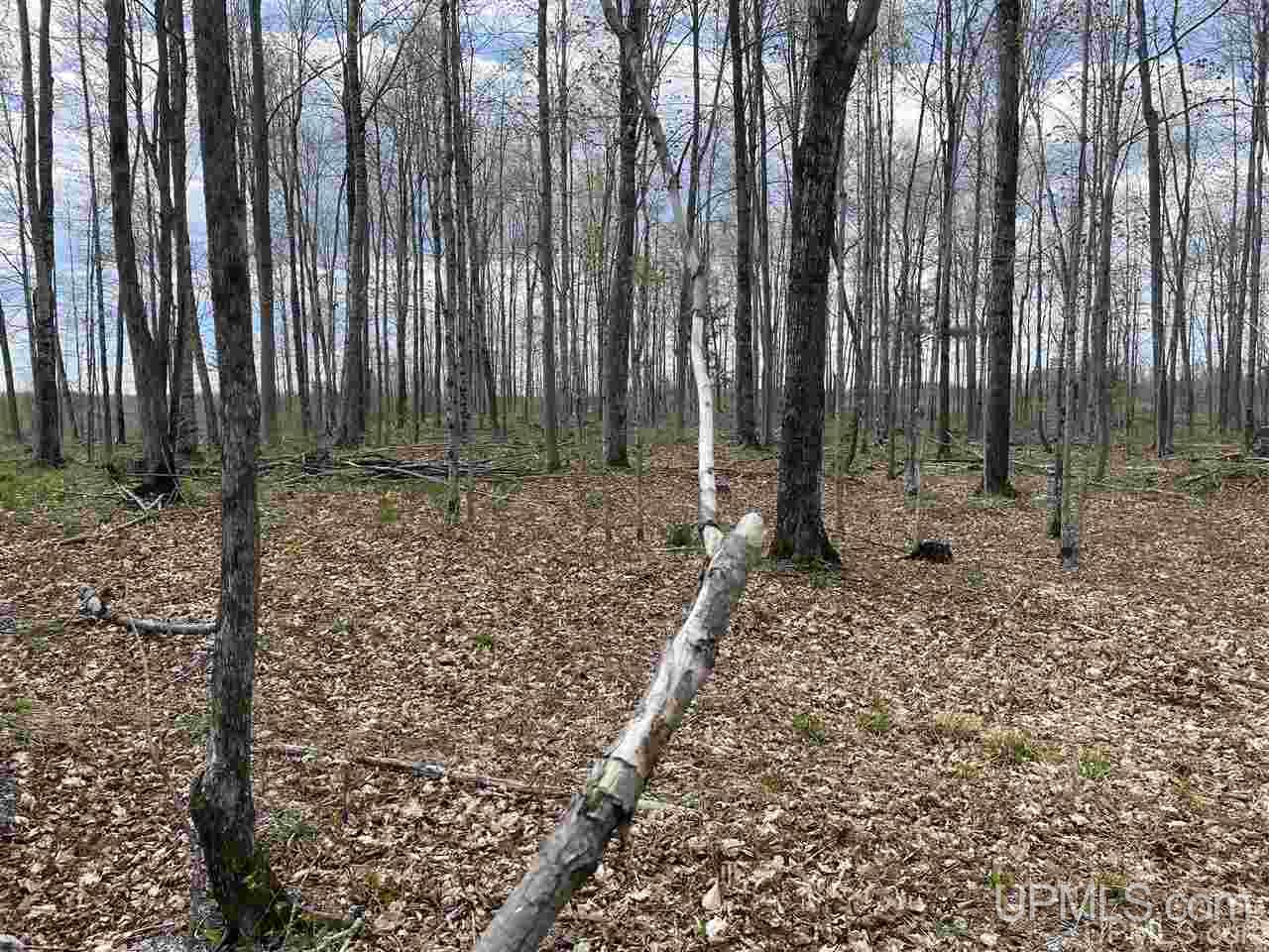 Tbd Tbd Truax Road, Unit 1 Cornell, MI 49818 - Photo 22 of 43