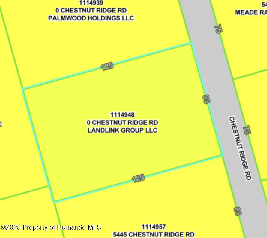 5449 Chestnut Ridge Road Dade City, FL 33523 - Photo 7 of 7