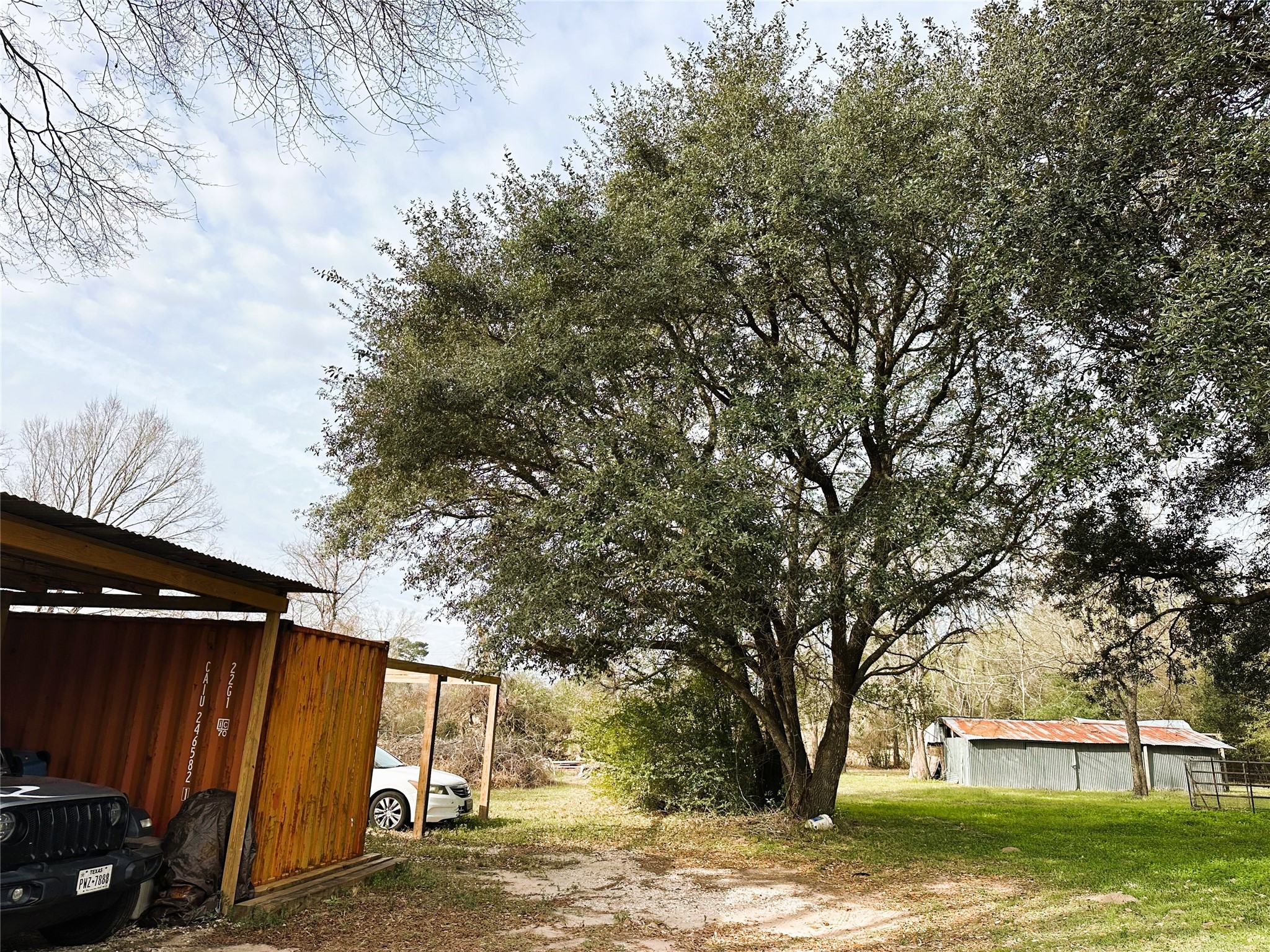 0 South Fm 1486 Road Montgomery, TX 77316 - Photo 31 of 33 Nice tree