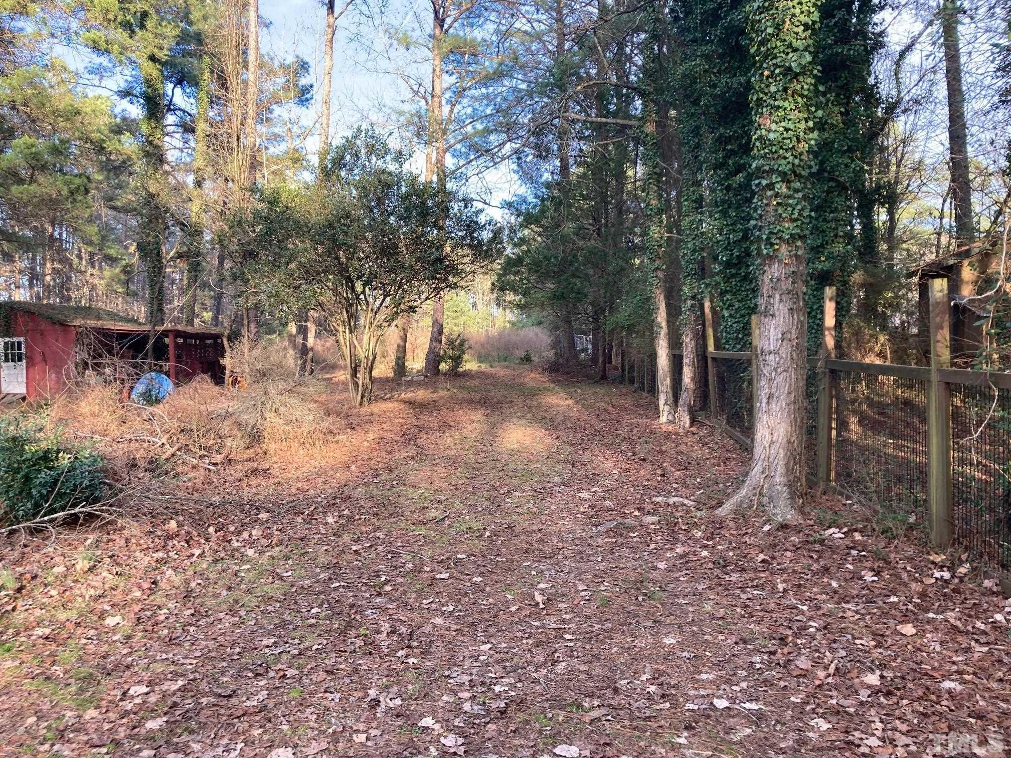11512 Hickory Grove Church Road Raleigh, NC 27613 - Photo 15 of 17 a view of a yard with lots of trees