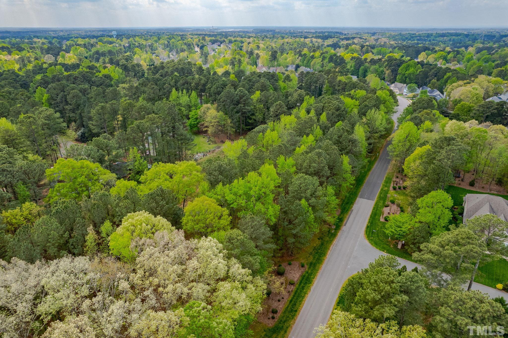 11512 Hickory Grove Church Road Raleigh, NC 27613 - Photo 4 of 17 a view of a garden with a building