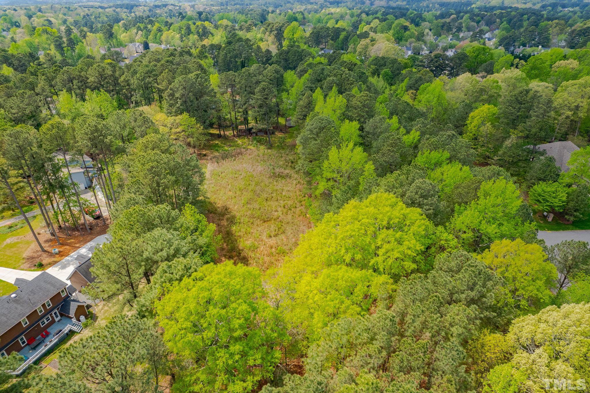 11512 Hickory Grove Church Road Raleigh, NC 27613 - Photo 6 of 17 a view of a big yard with large trees