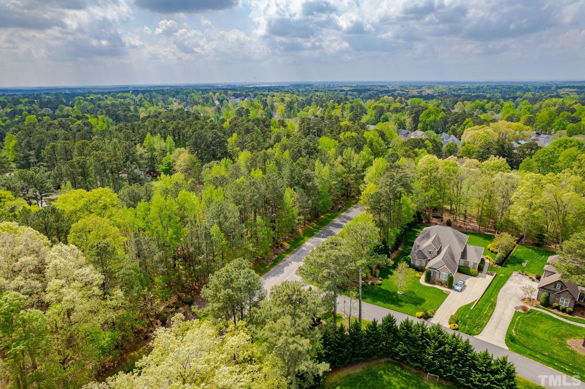 11512 Hickory Grove Church Road Raleigh, NC 27613 - Photo 10 of 17 a view of a lake in middle of forest