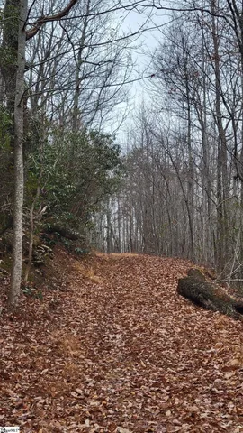 $518,000 | 0 Highway 11 Landrum Sc 29356, Landrum, SC 29356