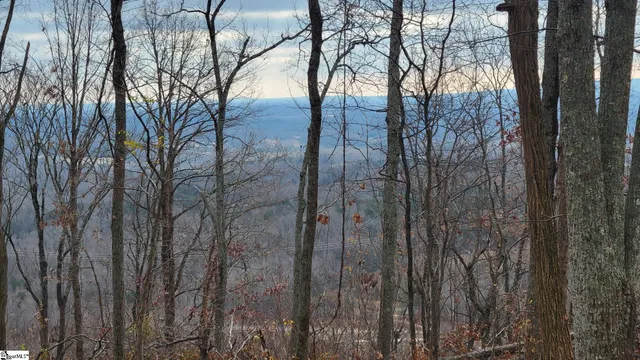 $518,000 | 0 Highway 11 Landrum Sc 29356, Landrum, SC 29356