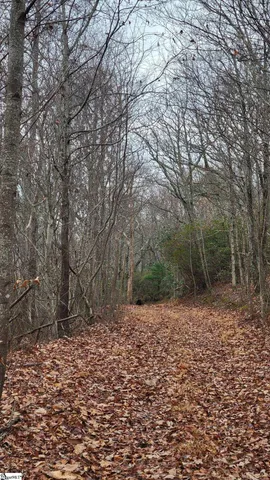 $518,000 | 0 Highway 11 Landrum Sc 29356, Landrum, SC 29356