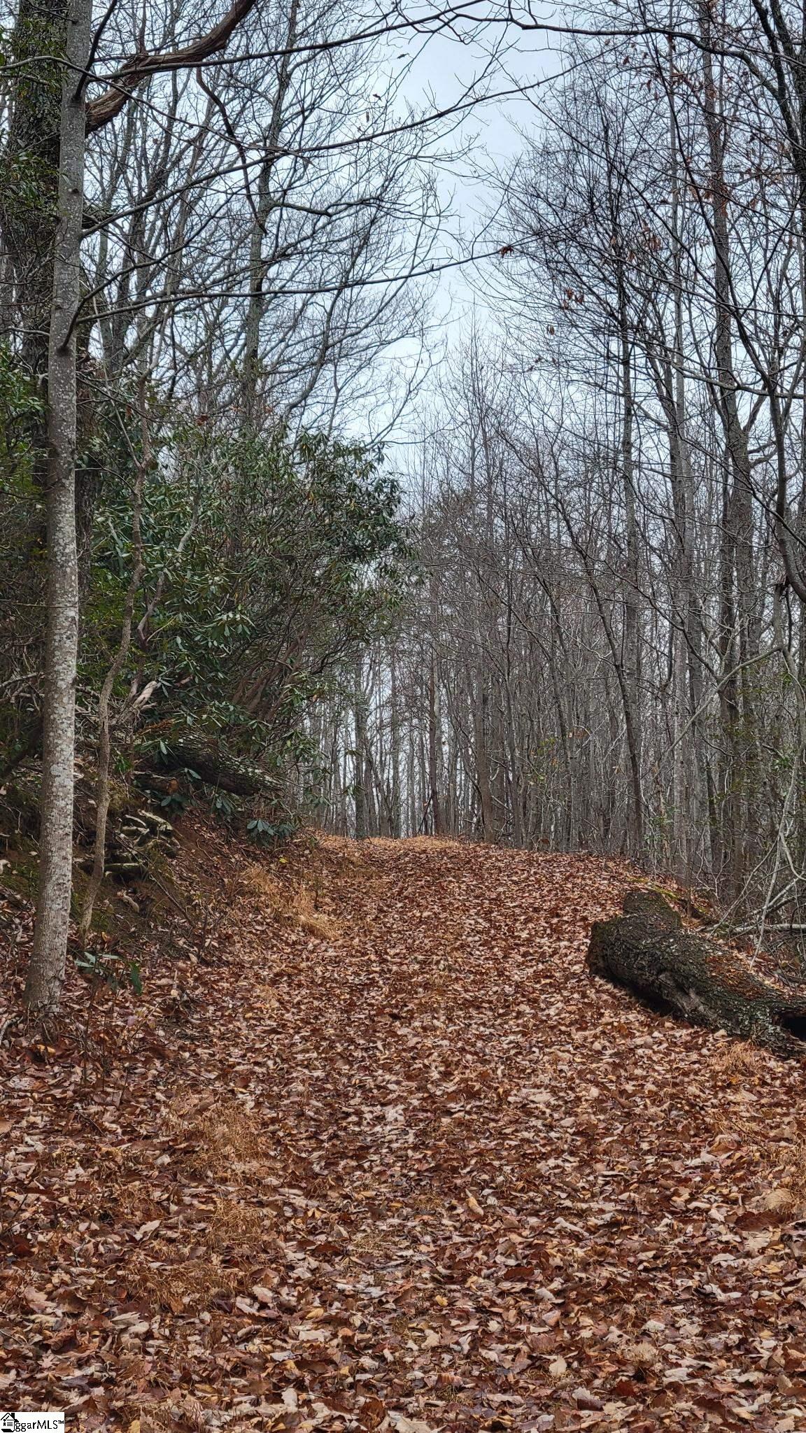 0 Highway 11 Landrum Sc 29356 Landrum, SC 29356 - Photo 3 of 15