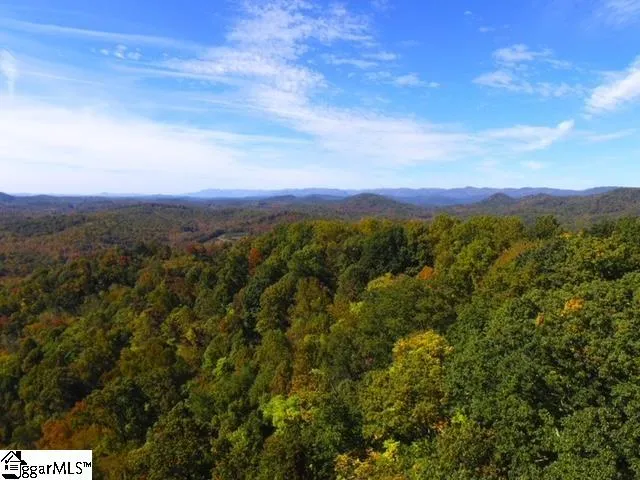 $518,000 | 0 Highway 11 Landrum Sc 29356, Landrum, SC 29356