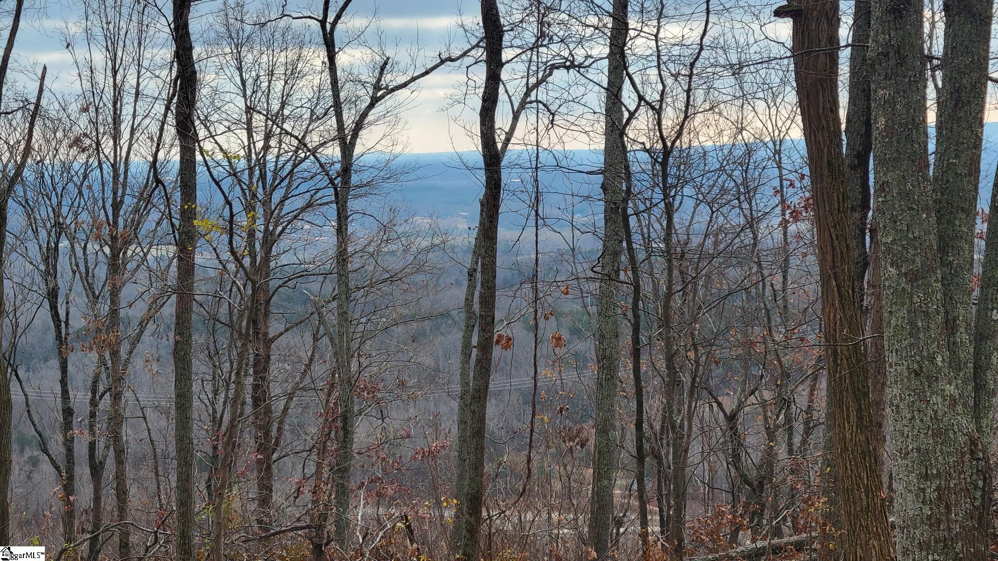 0 Highway 11 Landrum Sc 29356 Landrum, SC 29356 - Photo 4 of 15