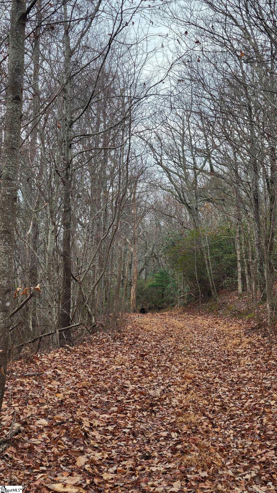 0 Highway 11 Landrum Sc 29356 Landrum, SC 29356 - Photo 5 of 15