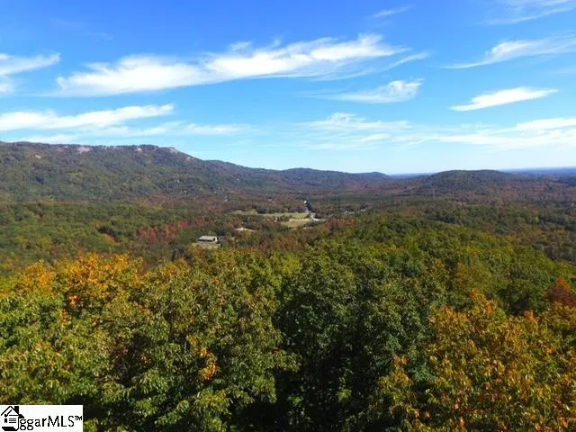 $518,000 | 0 Highway 11 Landrum Sc 29356, Landrum, SC 29356