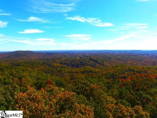 0 Highway 11 Landrum Sc 29356 Landrum, SC 29356 - Photo 7 of 15