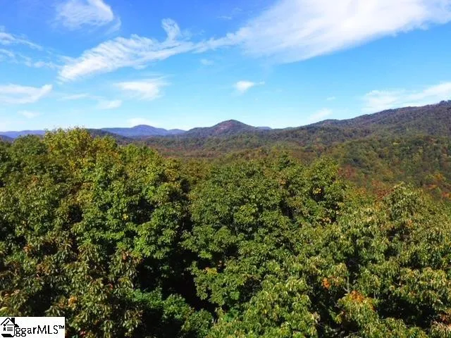 $518,000 | 0 Highway 11 Landrum Sc 29356, Landrum, SC 29356