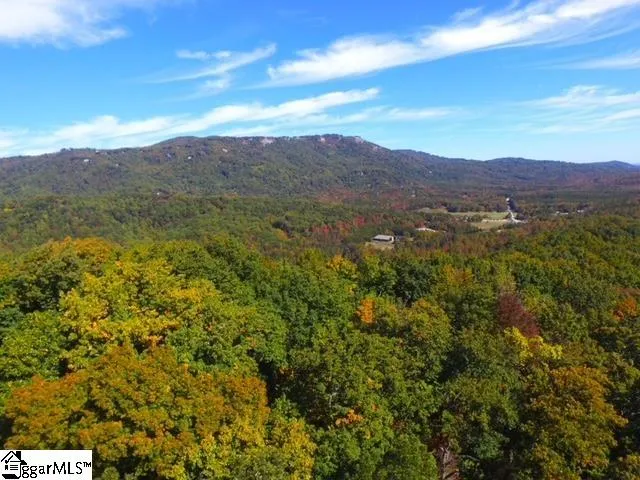 $518,000 | 0 Highway 11 Landrum Sc 29356, Landrum, SC 29356