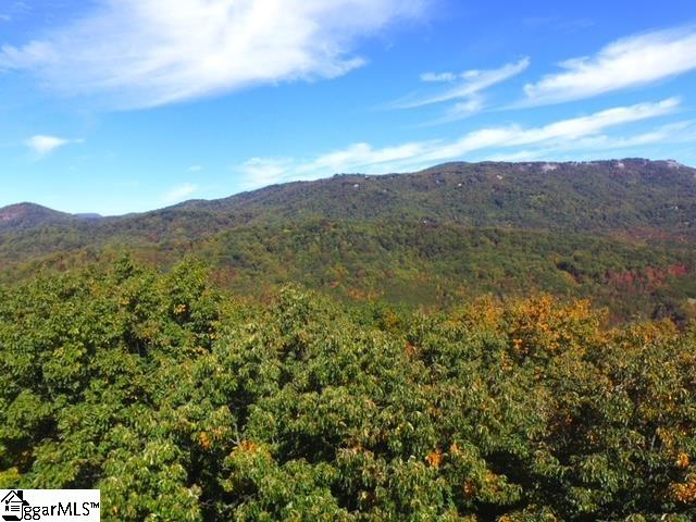 0 Highway 11 Landrum Sc 29356 Landrum, SC 29356 - Photo 9 of 15