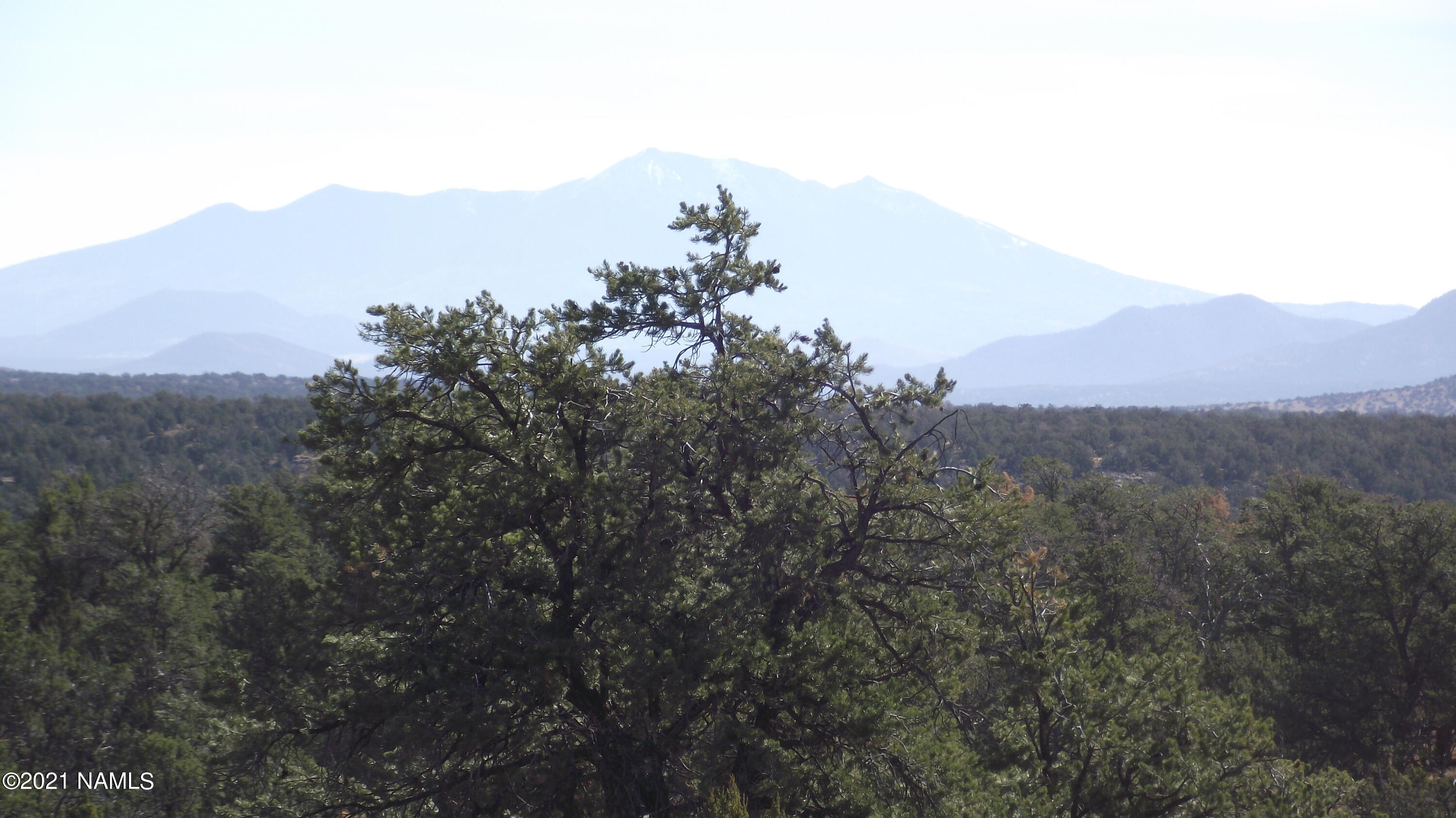4089 North Bull Run Road Williams, AZ 86046 - Photo 4 of 9 DSCF5918