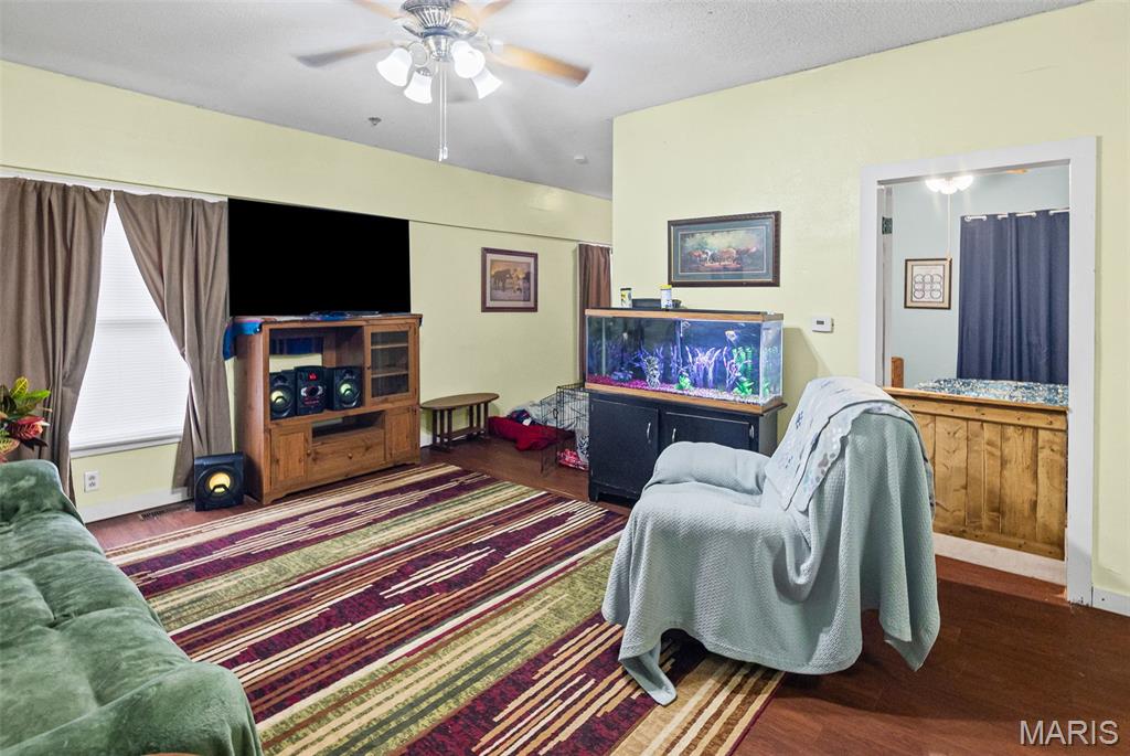 104 Helmuth Street Wilsonville, IL 62093 - Photo 10 of 28