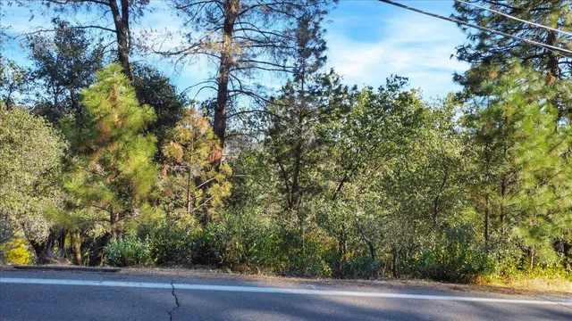a view of a yard with a tree