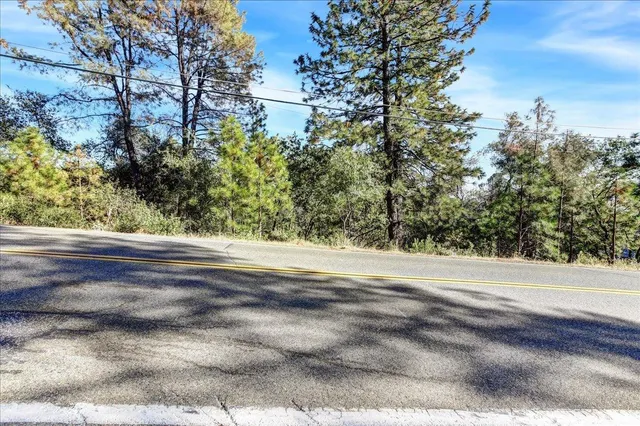 a view of a floor to a window and a tree