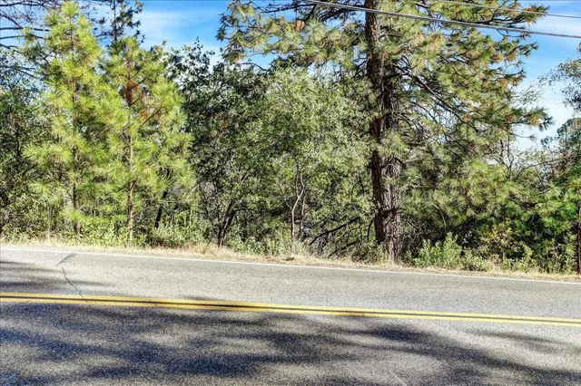 a view of a yard with a tree
