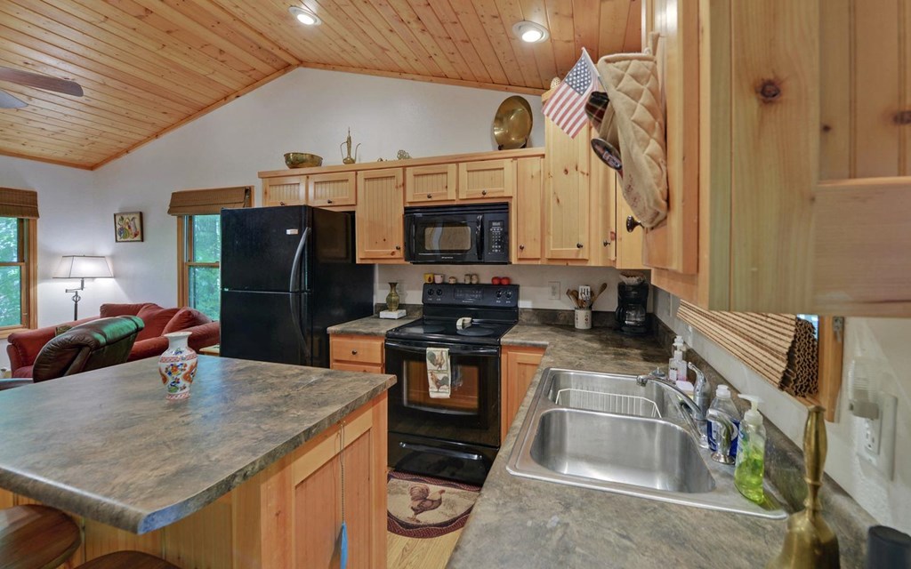 164 Dew Drop Lane Murphy, NC 28906 - Photo 38 of 49
