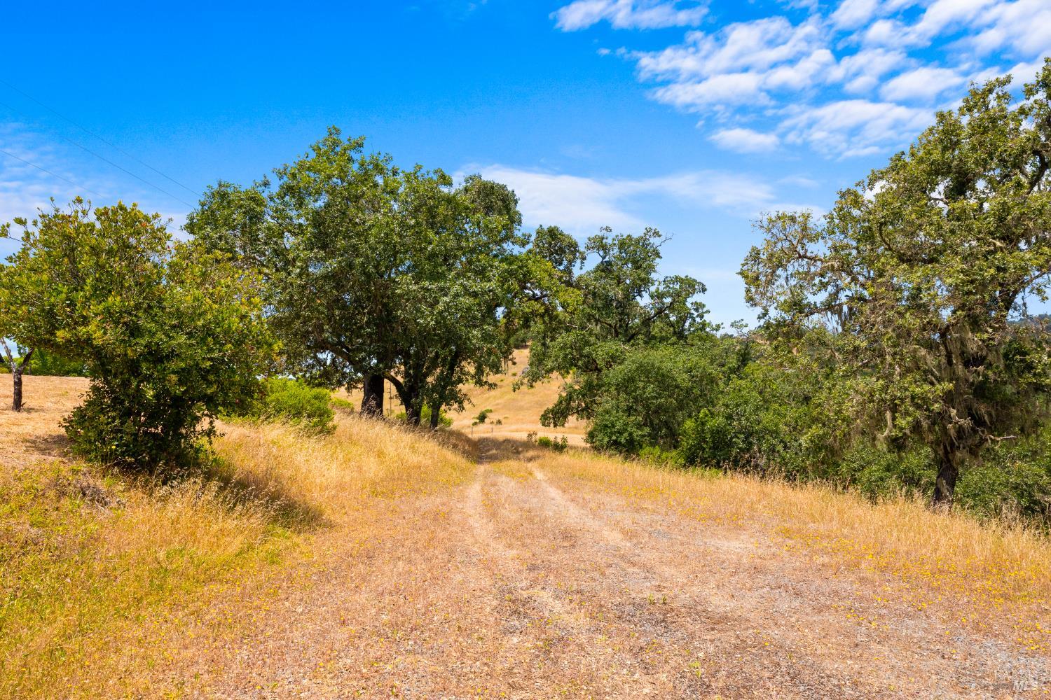 23655 Vineyard Road Geyserville, CA 95441 - Photo 15 of 38