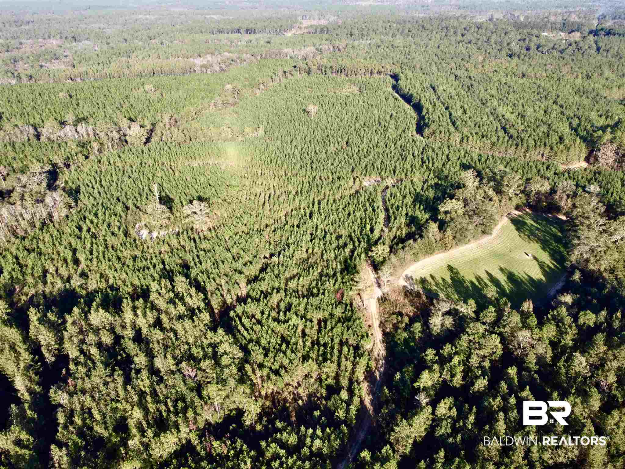 0 Whitetail Run Chatom, AL 36518 - Photo 28 of 29