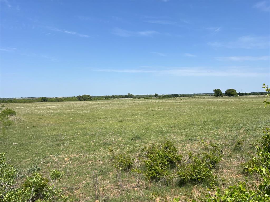 150 Comanche Tx 76442 Comanche, TX 76442 - Photo 2 of 2