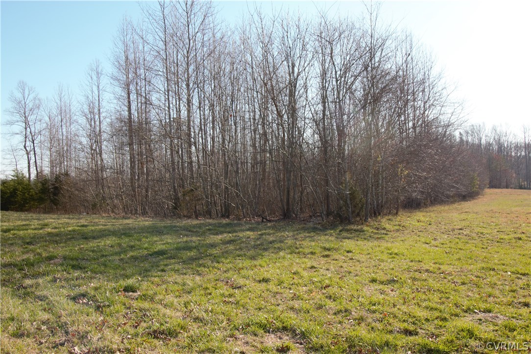 9893 Francisco Road Farmville, VA 23901 - Photo 20 of 26 a view of outdoor space with pool and trees