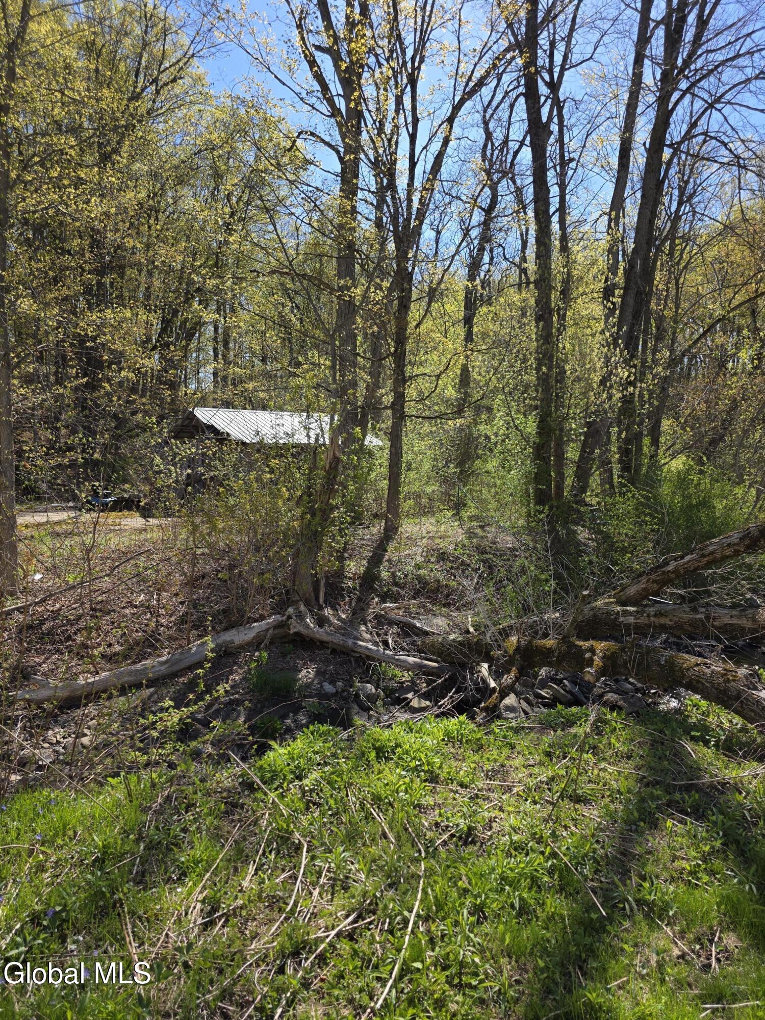 105 Hartman Road Florida, NY 12137 - Photo 16 of 23 20260427_100322
