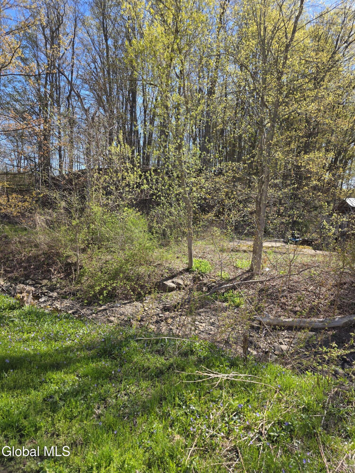 105 Hartman Road Florida, NY 12137 - Photo 17 of 23 20260427_100319