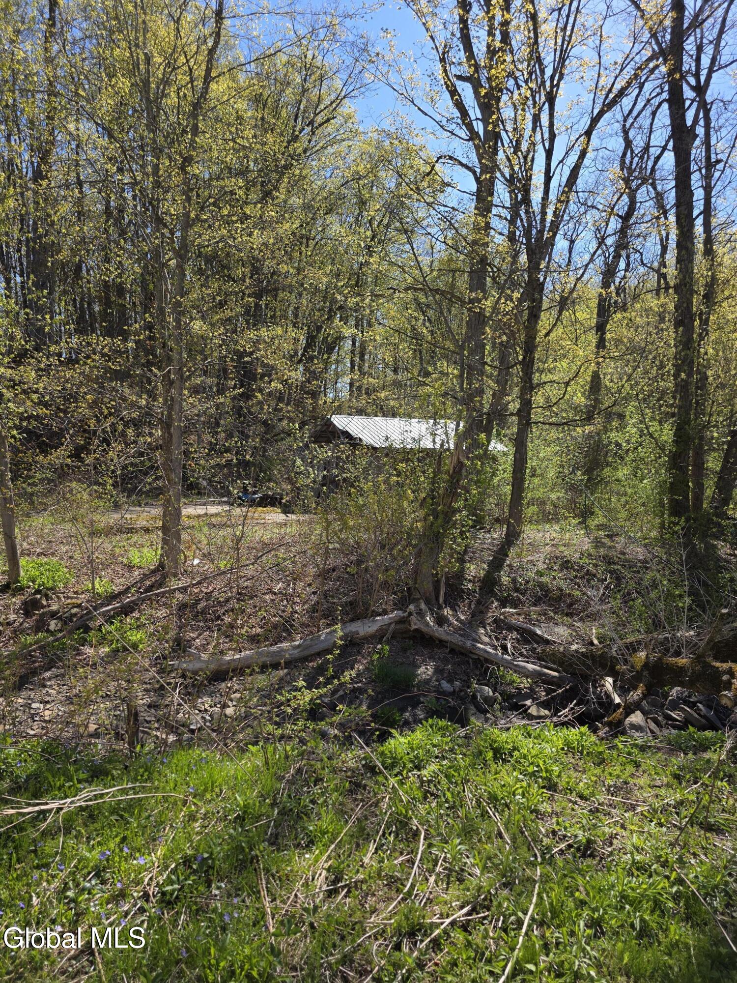 105 Hartman Road Florida, NY 12137 - Photo 18 of 23 20260427_100316