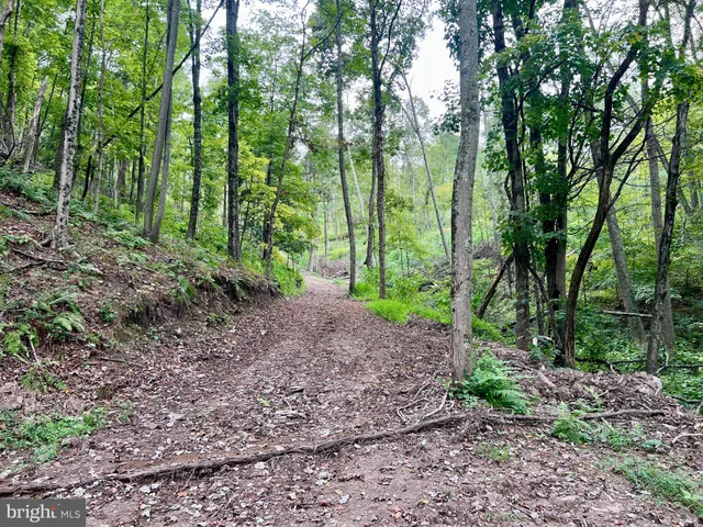 a view of outdoor space and green space