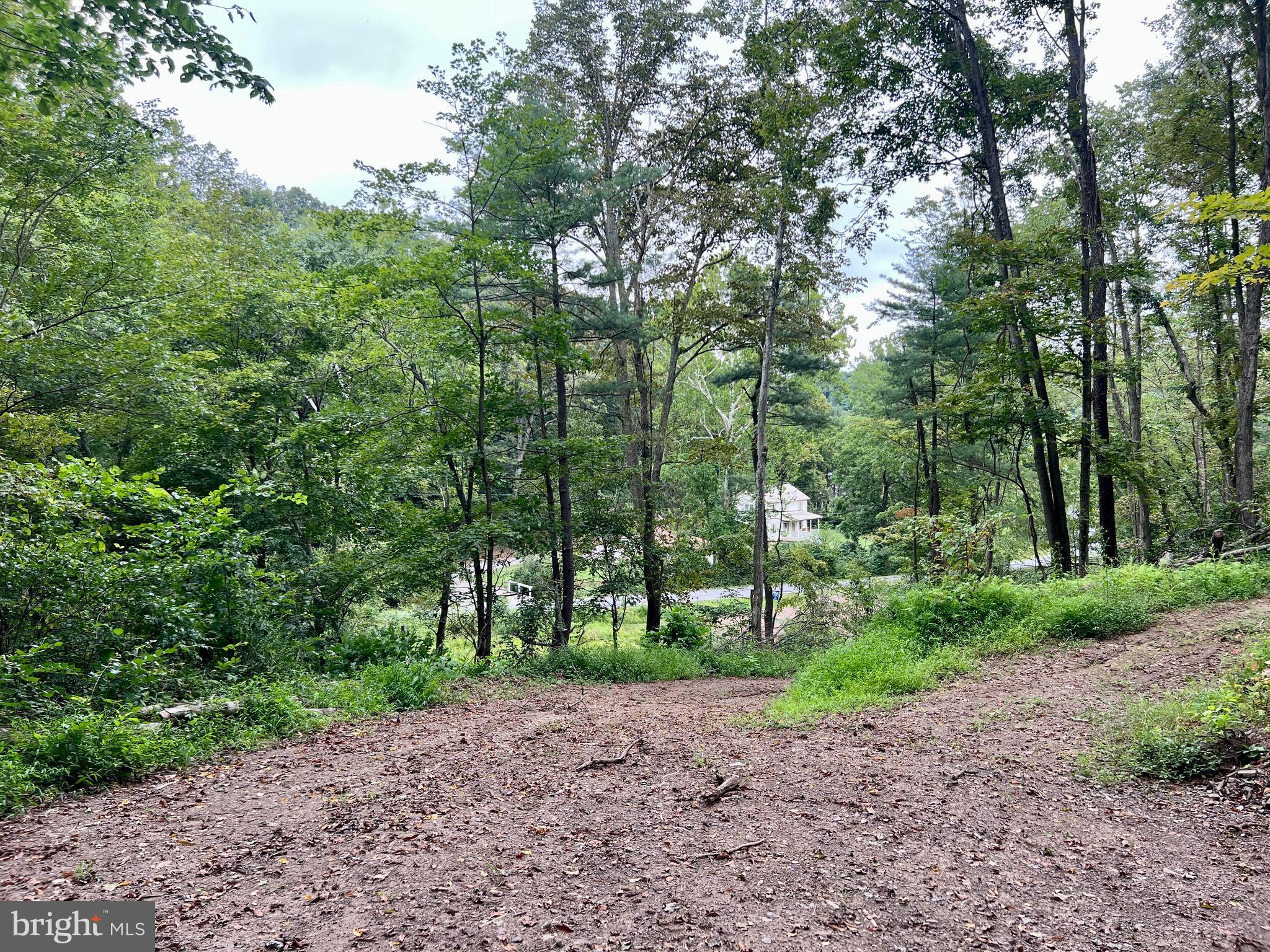 0 Raven Run Road Saxton, PA 16678 - Photo 19 of 21 a green field with lots of trees